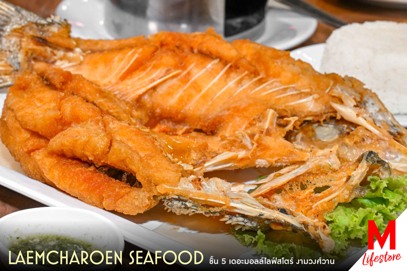 Marquee Gallery Image